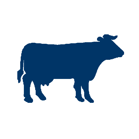 Team Member image